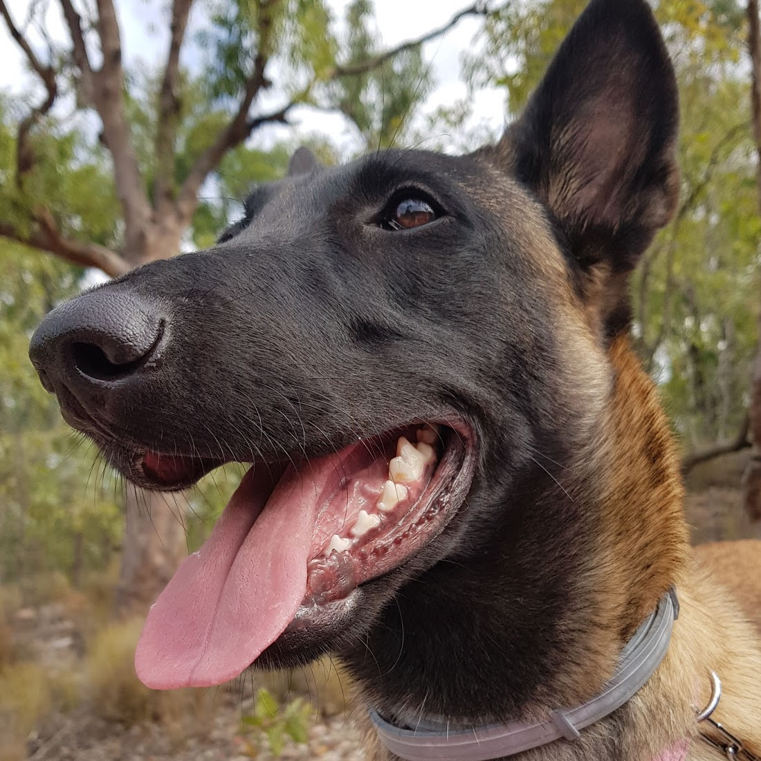 Marley